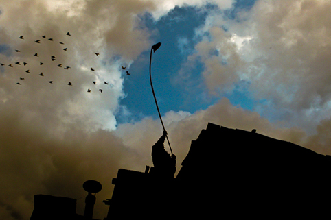 Ara Madzounian, Pigeon handler at dusk (2009)