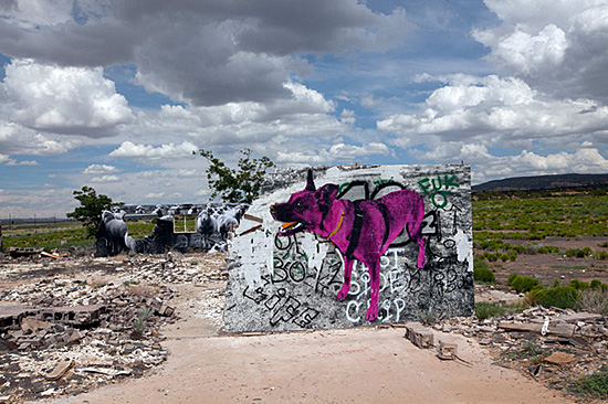 Fig. 6. Jetsonorama, Lola The Atomic Sheep Dog. Cow Springs, Arizona. Photographed July 2015. Photo courtesy the artist.