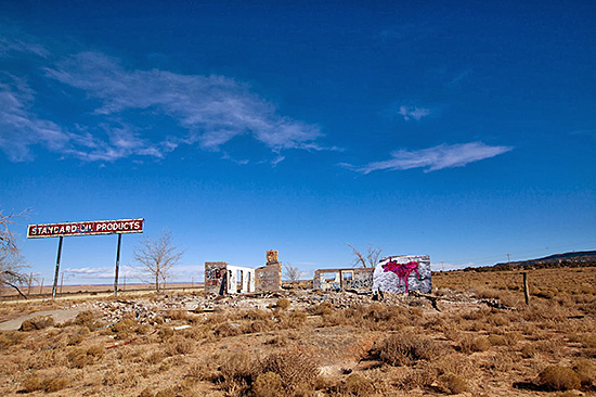 Fig. 7. Jetsonorama, Lola The Atomic Sheep Dog. Cow Springs, Arizona. Photographed January 2014. Photo courtesy the artist.