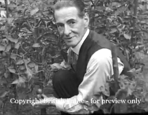 Figs. 5 and 6. Gardens Aka Bomb Crater, Blitzed Gardens, 1942. Film Stills, British Pathé.