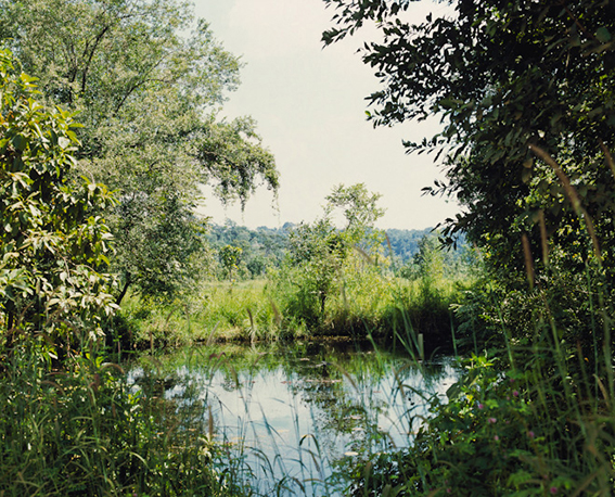 Vandy Rattana - Bomb Ponds (2009)